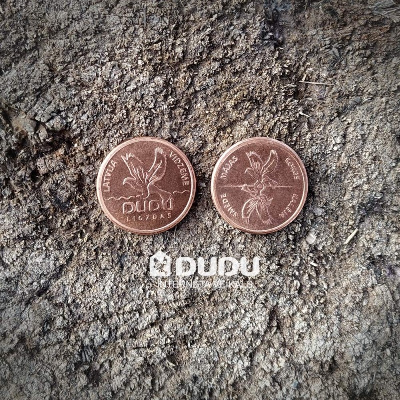 Copper coin "DUDU ligzdas"
