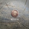 Copper coin "Limbažu novads". Assemble yourself!
